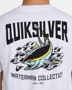 uqmzt03307_quiksilver_wbb0_dtl1