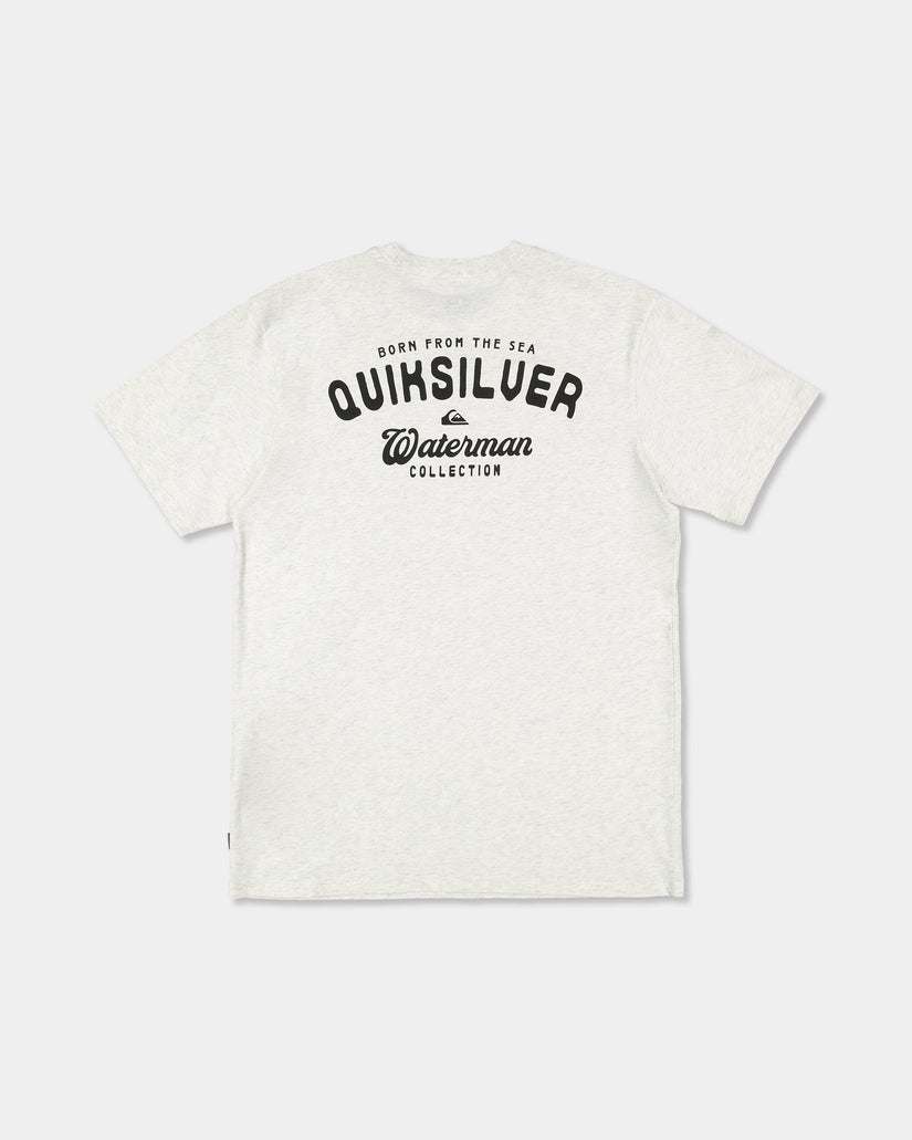 uqmzt03310_quiksilver_sjsh_bck1