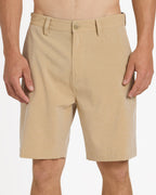Mens Union Heather Amph 19" Hybrid Shorts