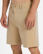 Mens Union Heather Amph 19" Hybrid Shorts