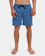 Mens Everyday Vert 2.0 17" Volley Shorts