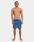 Mens Everyday Vert 2.0 17" Volley Shorts