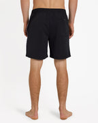 Mens Everyday Vert 2.0 17" Volley Shorts