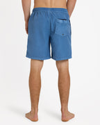 Mens Everyday Surfwash 17" Volley Shorts