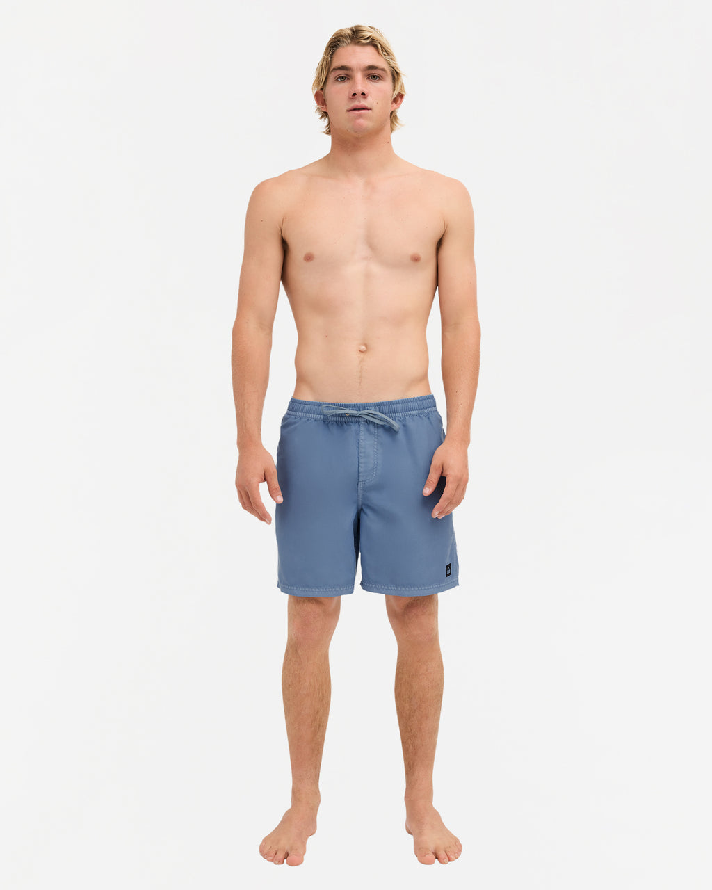 Mens Everyday Surfwash 17" Volley Shorts