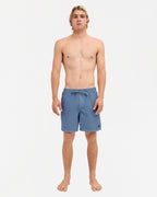 Mens Everyday Surfwash 17" Volley Shorts
