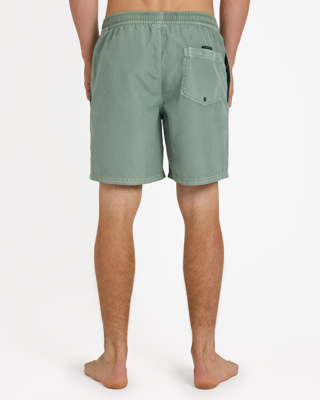 Mens Everyday Surfwash 17" Volley Shorts