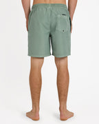 Mens Everyday Surfwash 17" Volley Shorts