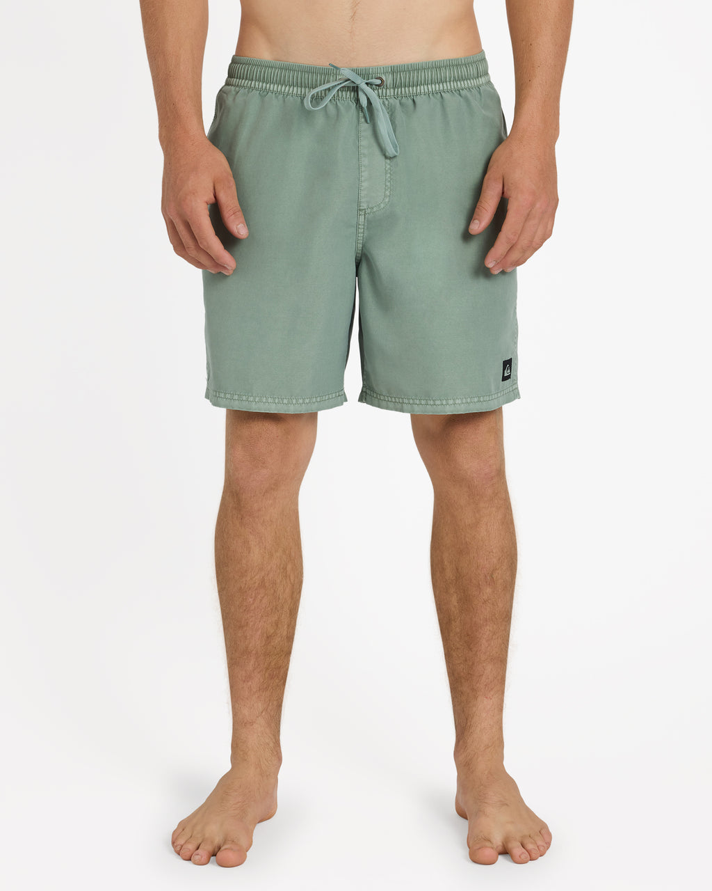 Mens Everyday Surfwash 17" Volley Shorts