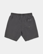 Mens Everyday Surfwash 17" Volley Shorts