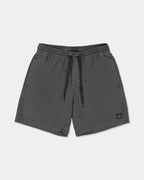 Mens Everyday Surfwash 17" Volley Shorts