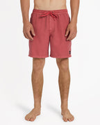 Mens Everyday Surfwash 17" Volley Shorts
