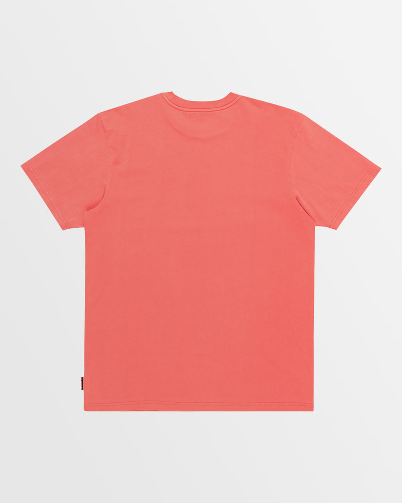 Mens Salt Water Crew Tee Swt