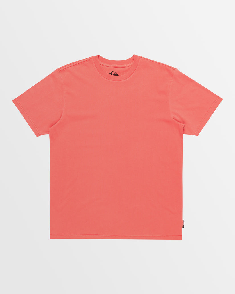 Mens Salt Water Crew Tee Swt