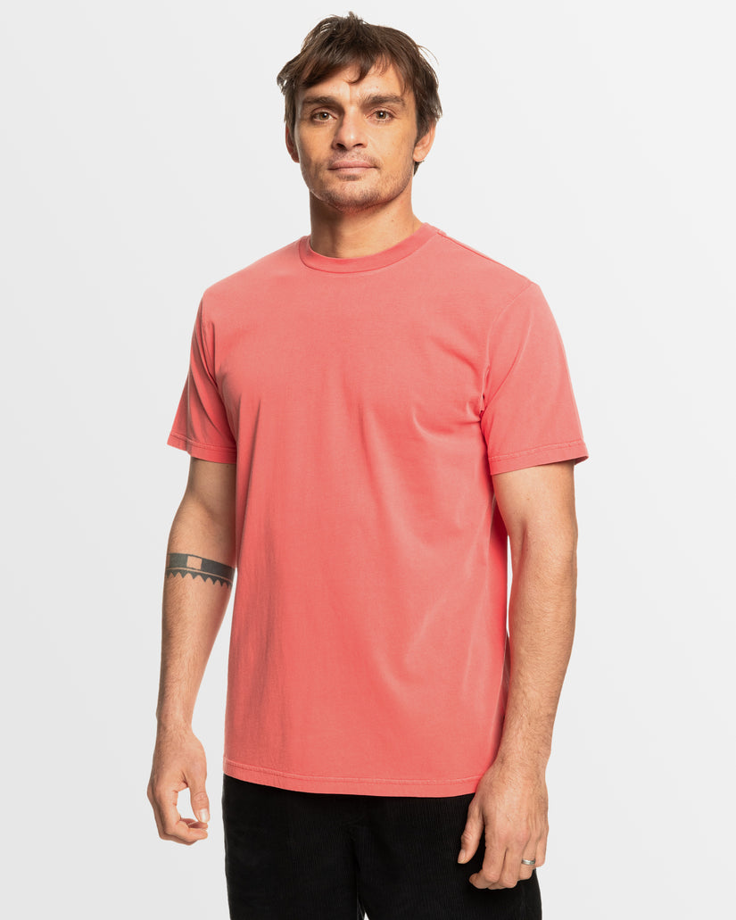 Mens Salt Water Crew Tee Swt
