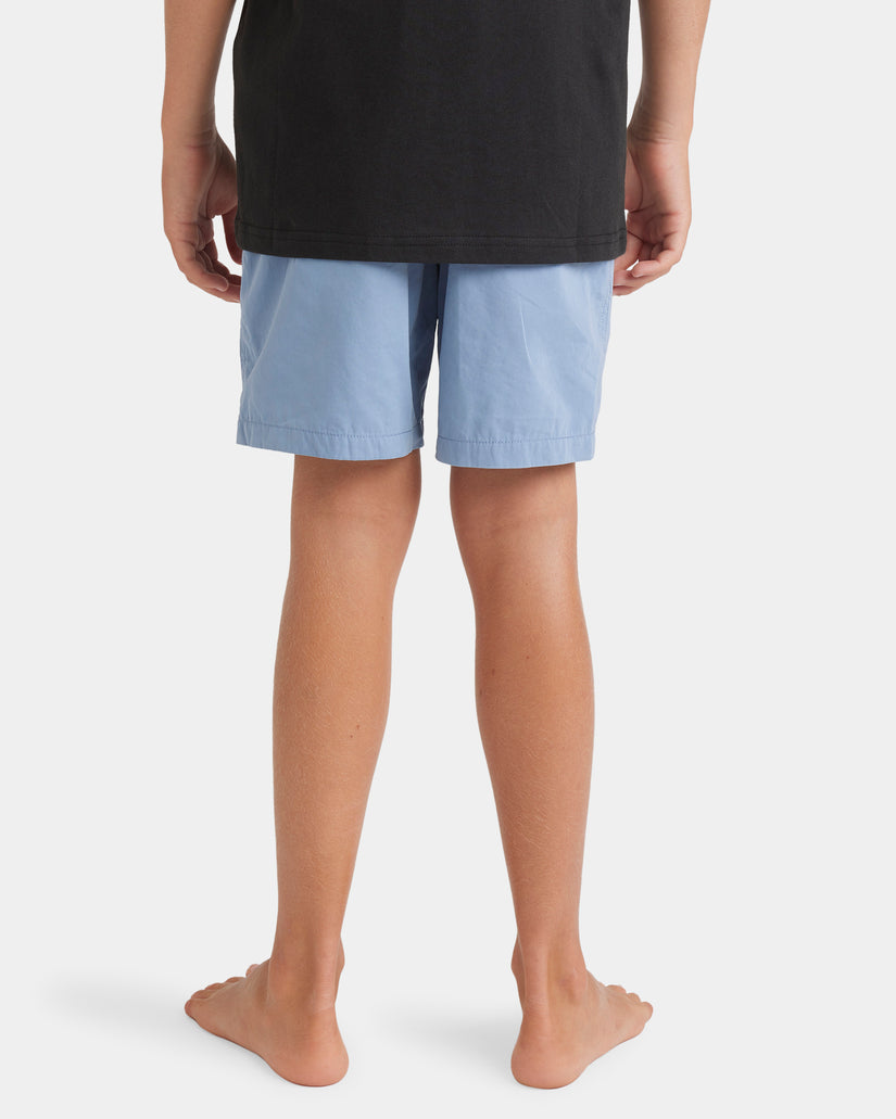 Boys 8-16 Salty Dog Boardshorts