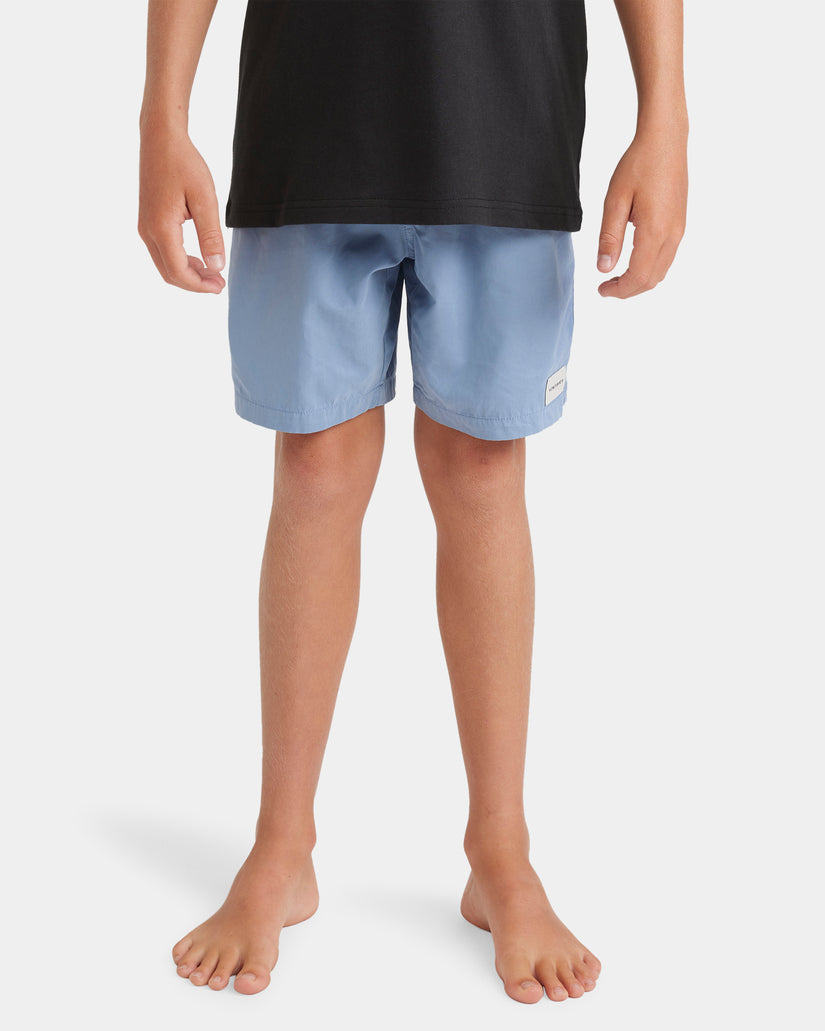 Boys 8-16 Salty Dog Boardshorts