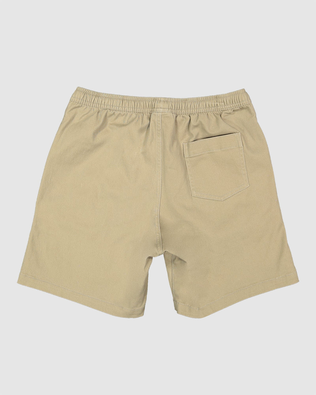 Boys 8-16 Twill Dog Walkshorts
