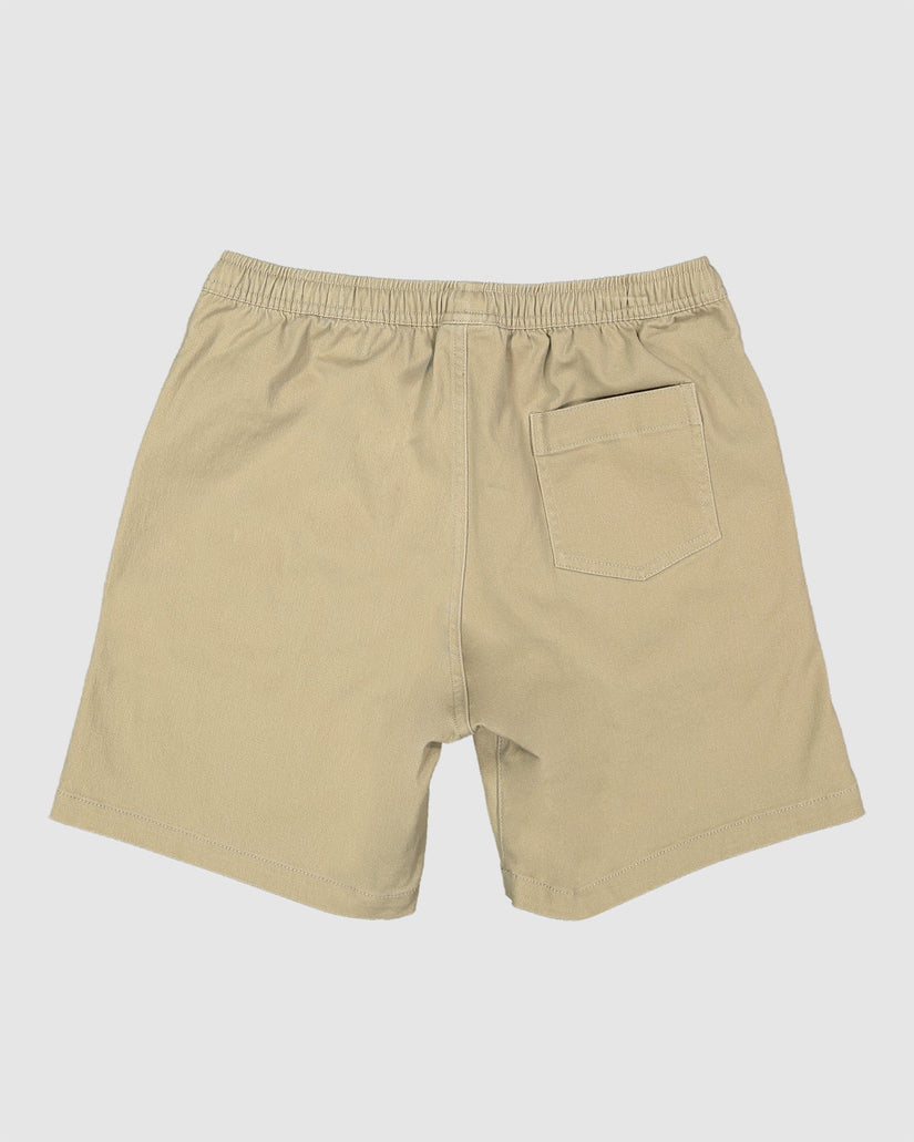 Boys 8-16 Twill Dog Walkshorts