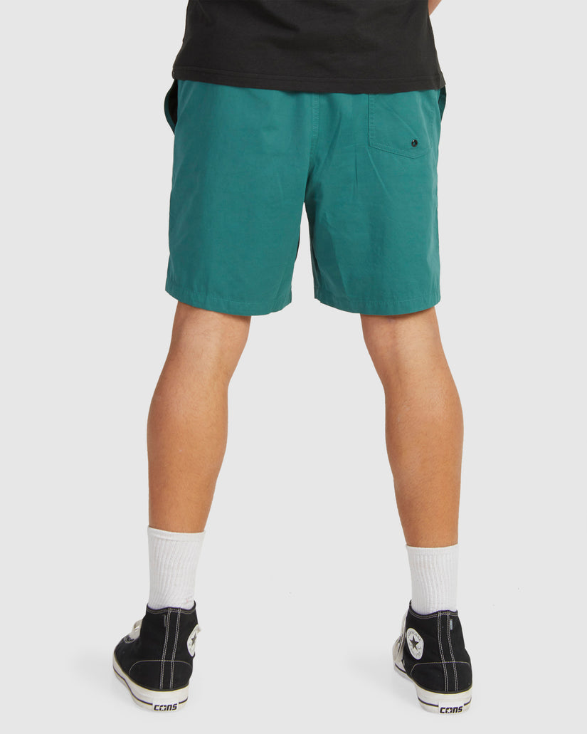 MENS SALTY DOGS BOARDSHORTS