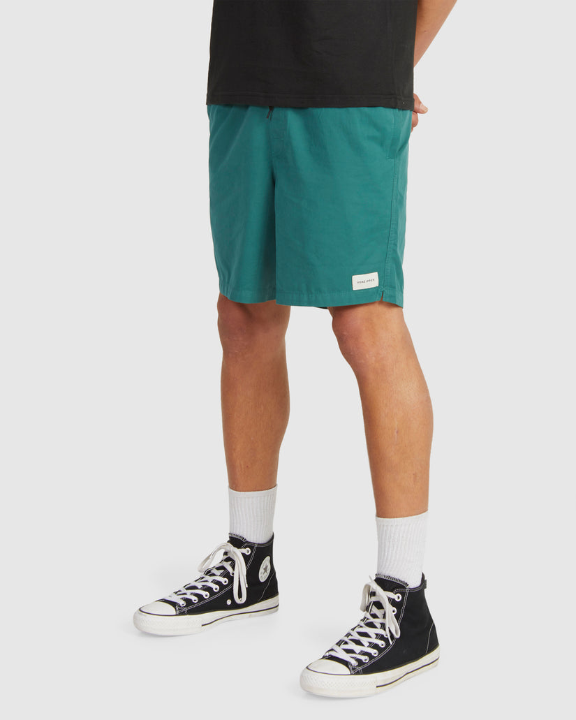 MENS SALTY DOGS BOARDSHORTS