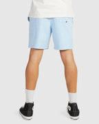 MENS SALTY DOGS BOARDSHORTS
