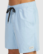 MENS SALTY DOGS BOARDSHORTS
