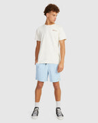 MENS SALTY DOGS BOARDSHORTS