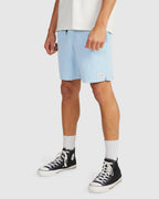 MENS SALTY DOGS BOARDSHORTS