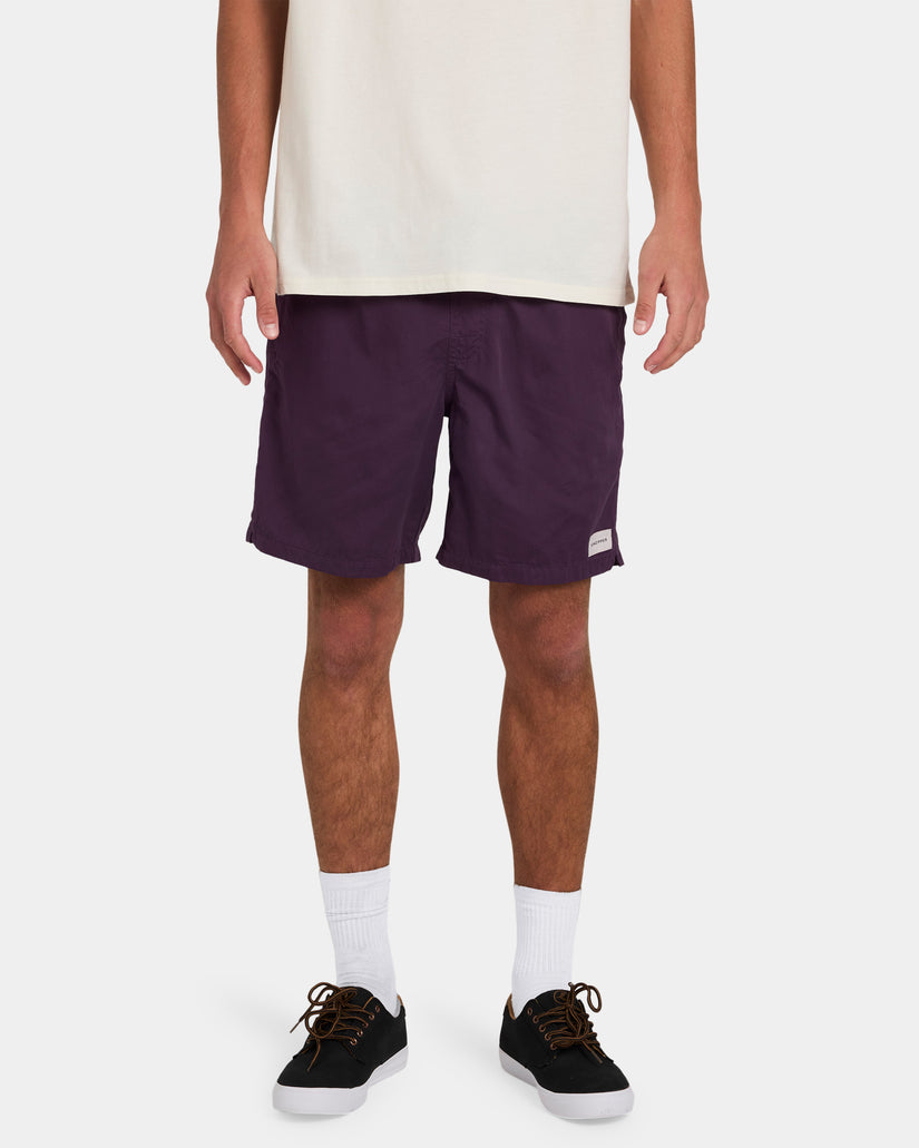 Mens Salty Dogs Boardshorts