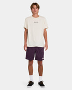 Mens Salty Dogs Boardshorts