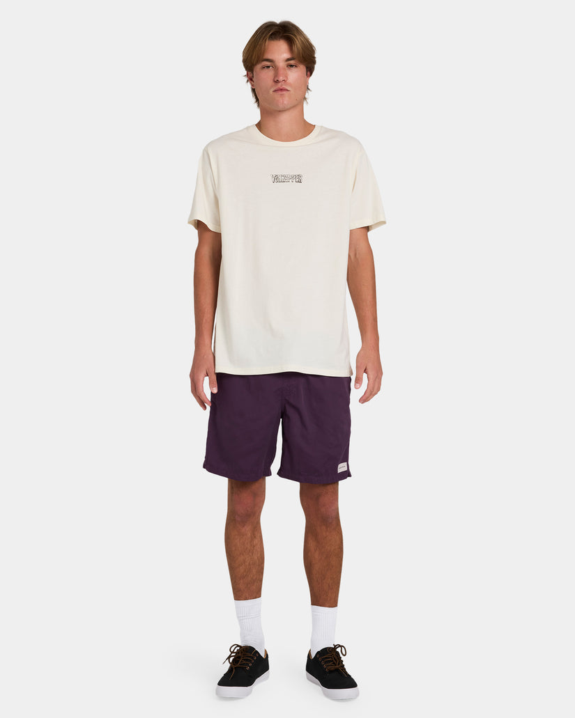 Mens Salty Dogs Boardshorts