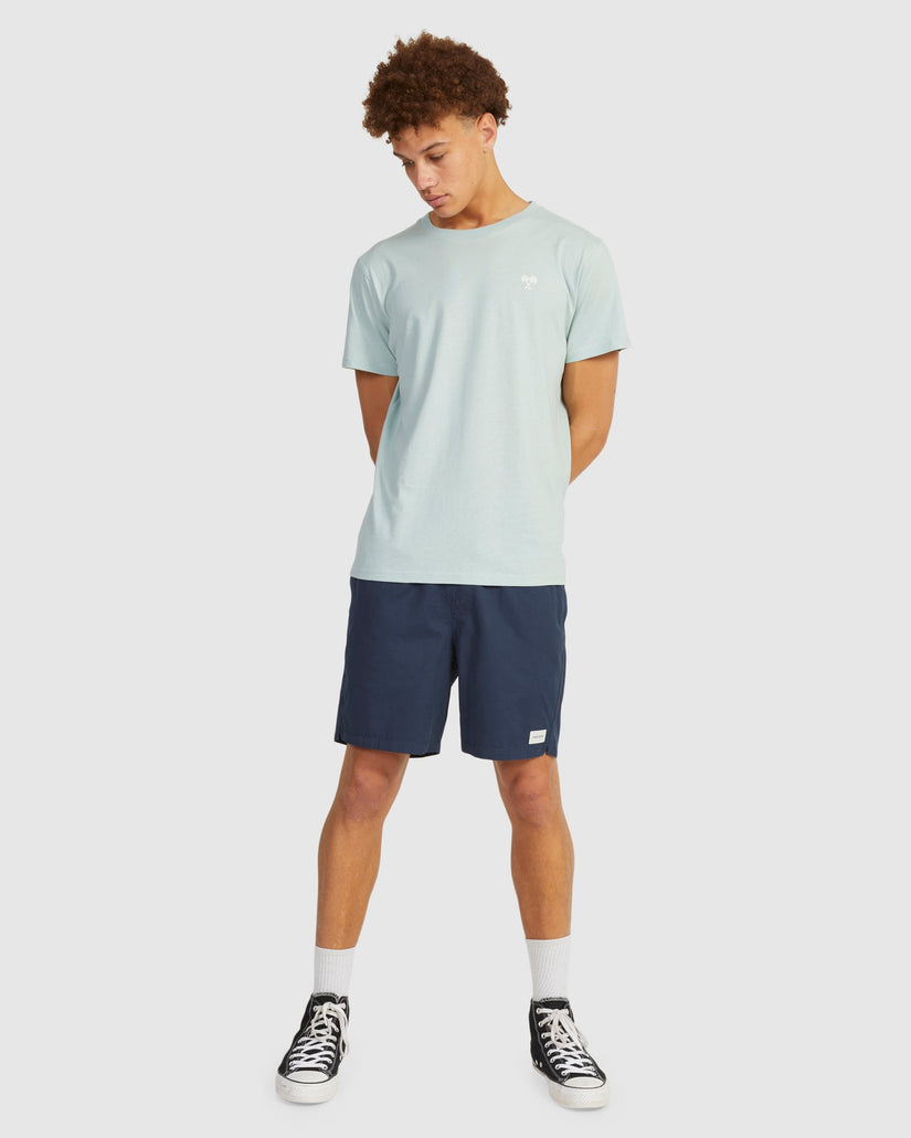 Mens Salty Dogs Boardshorts