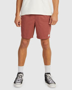 MENS SALTY DOGS BOARDSHORTS