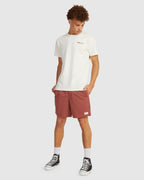 MENS SALTY DOGS BOARDSHORTS