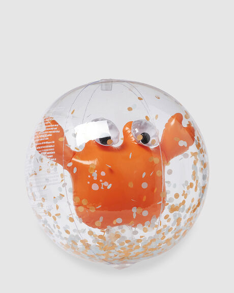 3D INFLATABLE BEACH BALL SONNY
