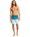 EVERYDAY SWELL VISION BOARDSHORTS
